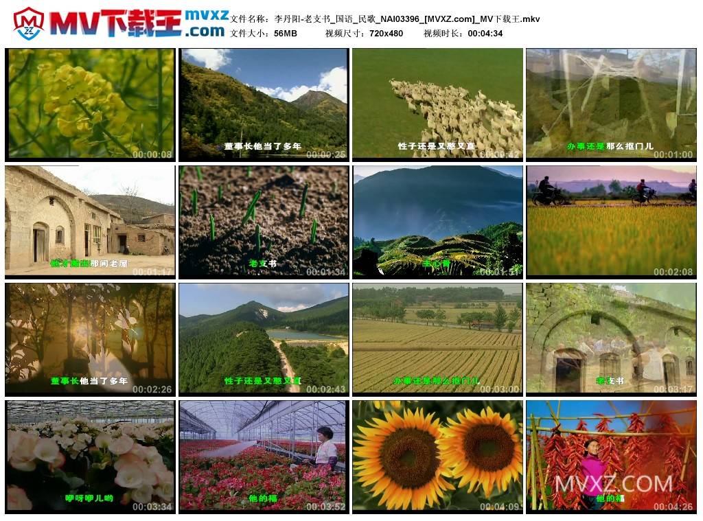 李丹阳-老支书_国语_民歌_NAI03396